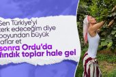 Gülşen, memleketi Ordu’da fındık tarlasına girdi